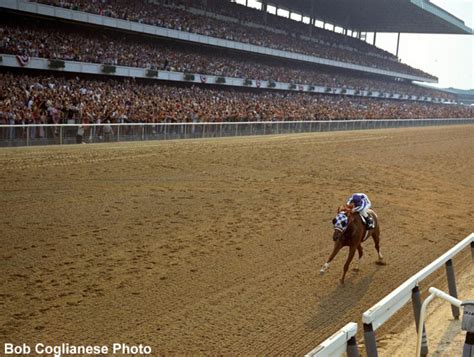 secretariat wins belmont stakes video.